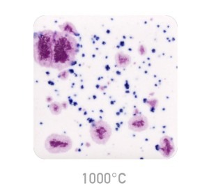 Glazura Mayco Jungle Gems 1011 Frosted Berries 999 - 1220°C