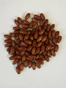 Dřevěné korálky - 10x5 mm