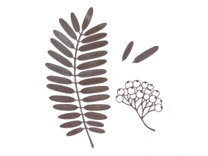 Šablona Rélyéf - Jeřabina