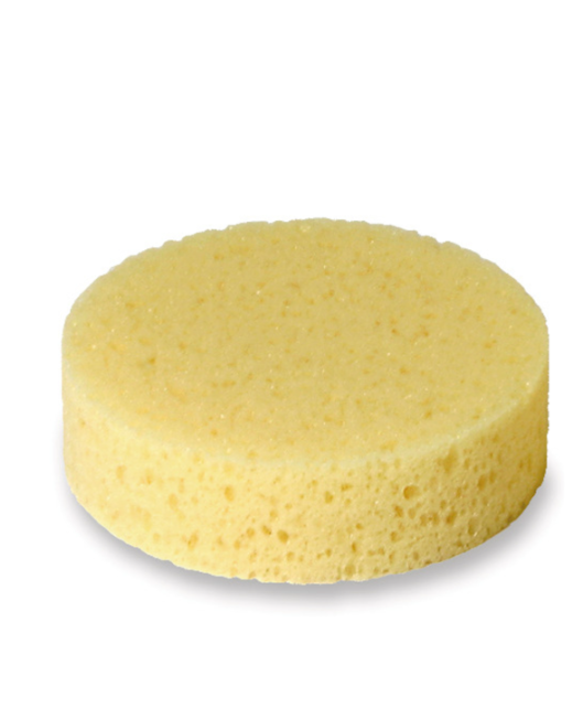 Houba kulatá, středně porézní